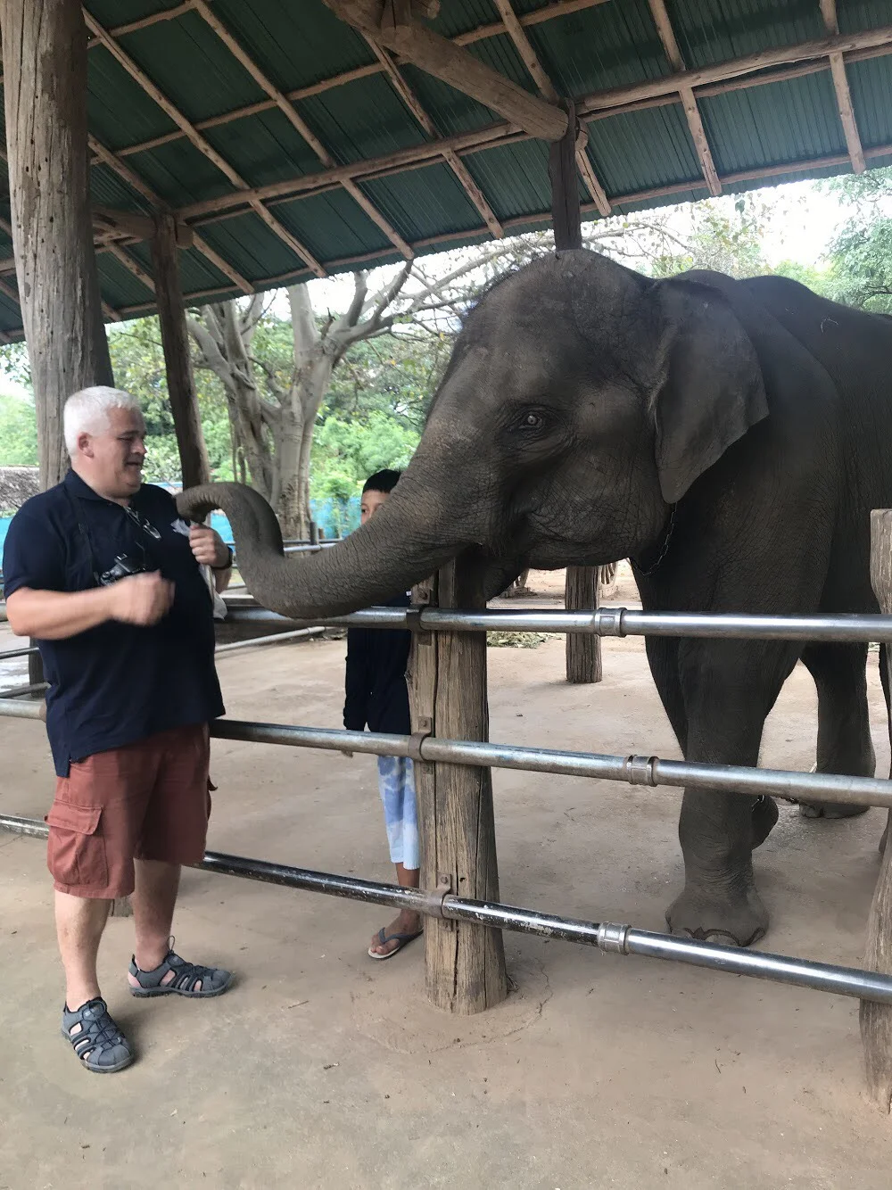 Elephant Village, Kanchanaburi, Thailand