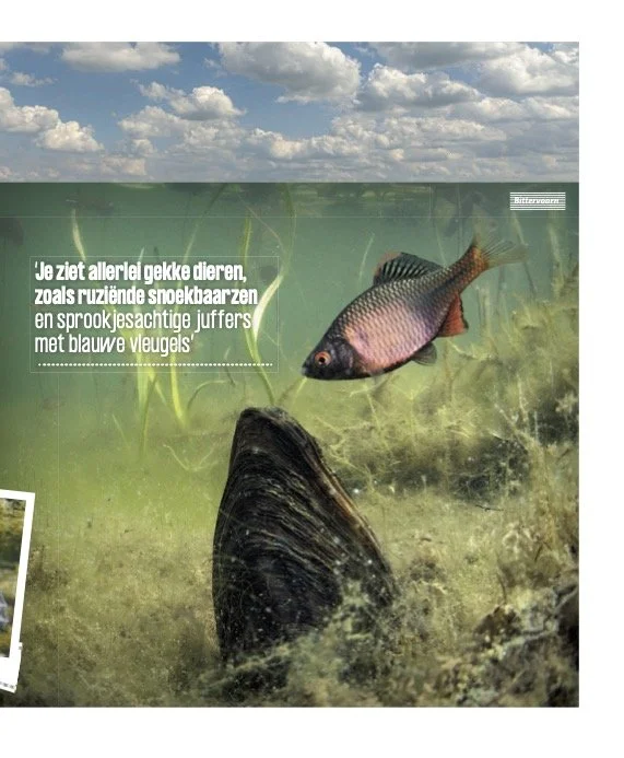 NCRV Gids 46_2022 (gesleept) 2.jpg