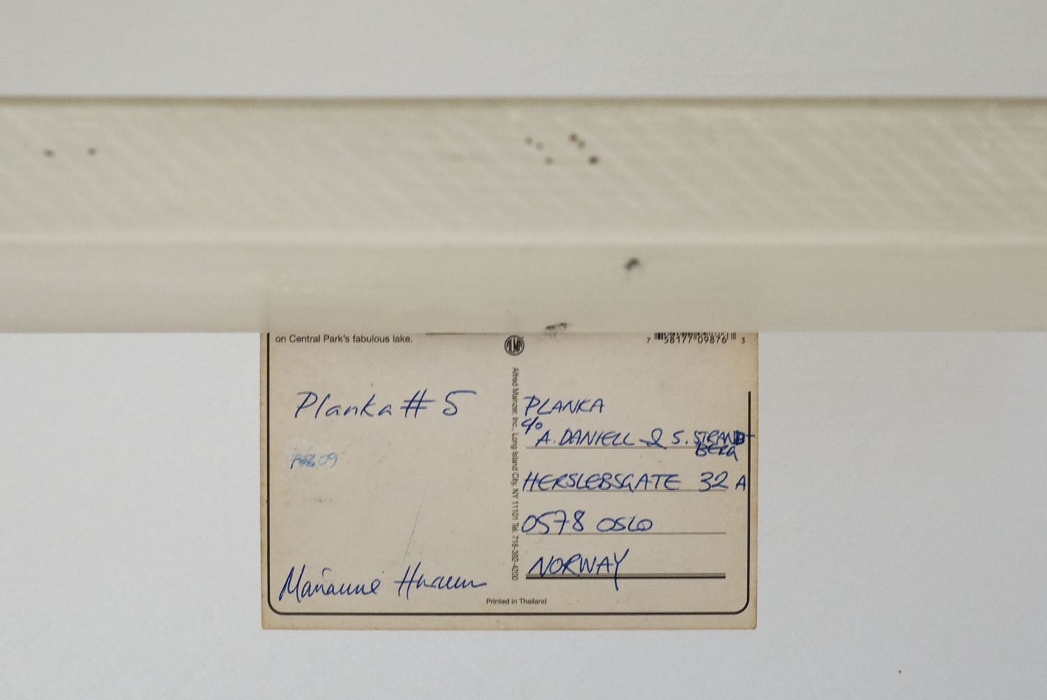 Marianne Hurum 2009