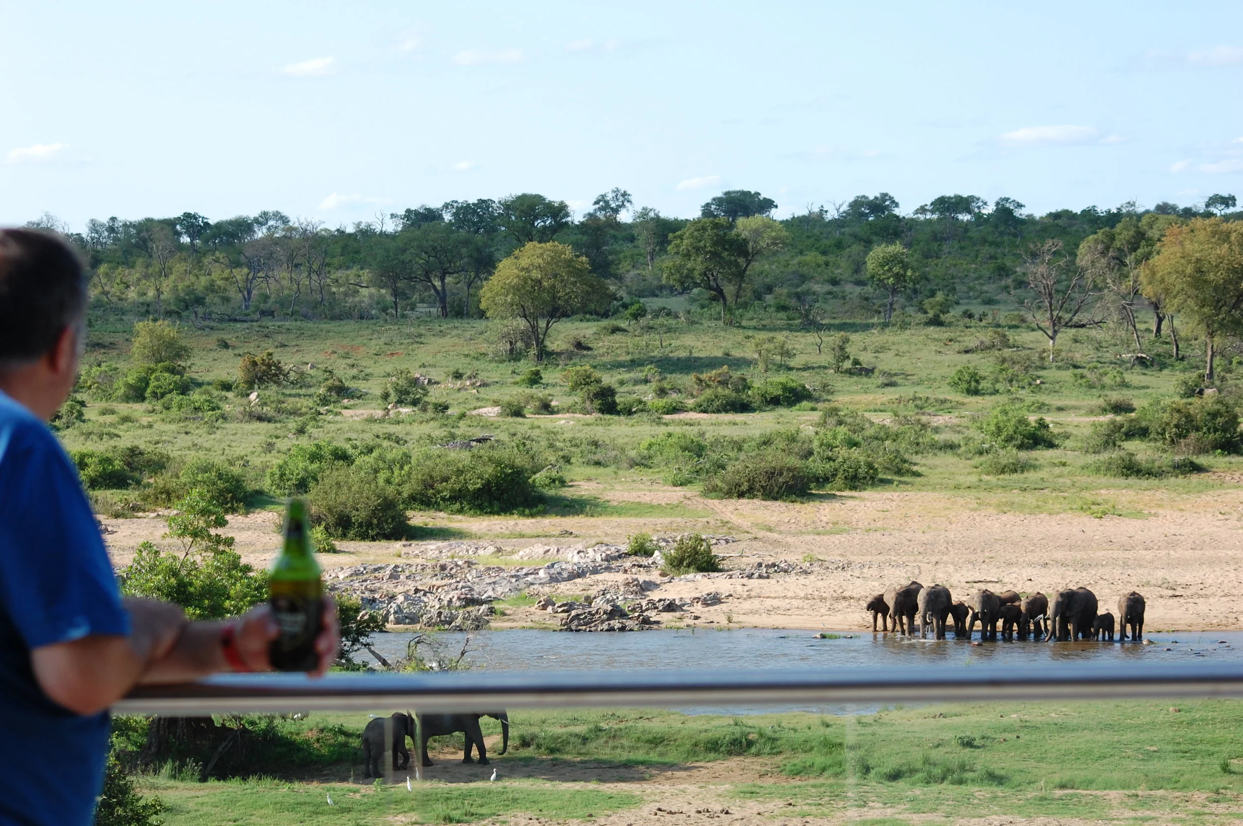 jac drink elephants balcony.JPG