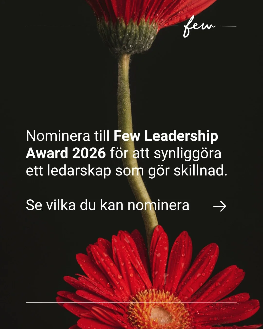 🏅Vi &ouml;ppnar nu nomineringen till Few Leadership Award 2026. 

En hedersutm&auml;rkelse som inte handlar om en enskild prestation, utan om ett ledarskap som h&aring;ller &ouml;ver tid. Som b&auml;r b&aring;de sig sj&auml;lv och andra. Och som p&a