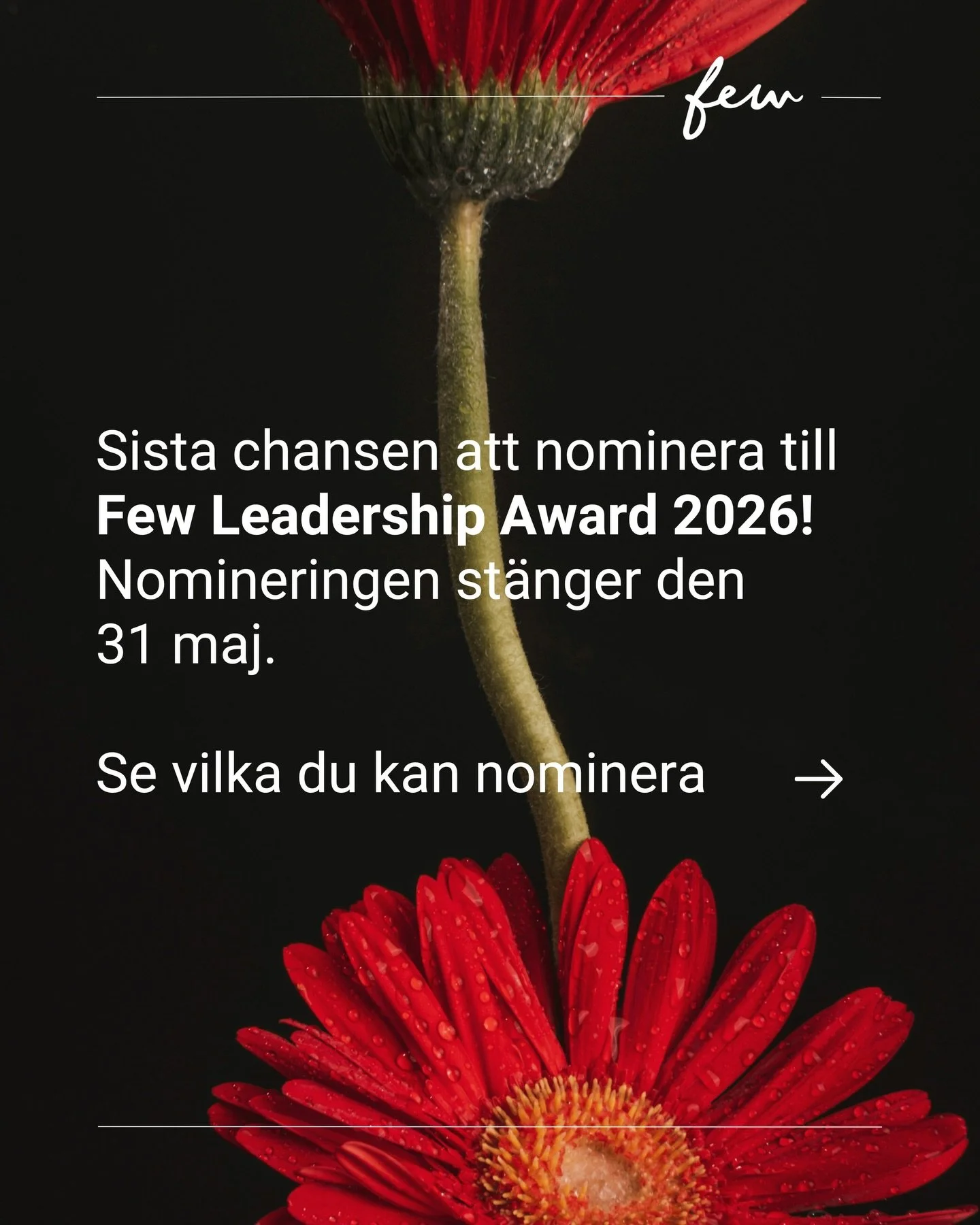 ⏳ Sista chansen att nominera till Few Leadership Award 2026!

Nu &aring;terst&aring;r bara n&aring;gra dagar att nominera en tidigare Few-deltagare till Few Leadership Award 2026.

Utm&auml;rkelsen tilldelas en ledare som genom autenticitet, mod, v&a