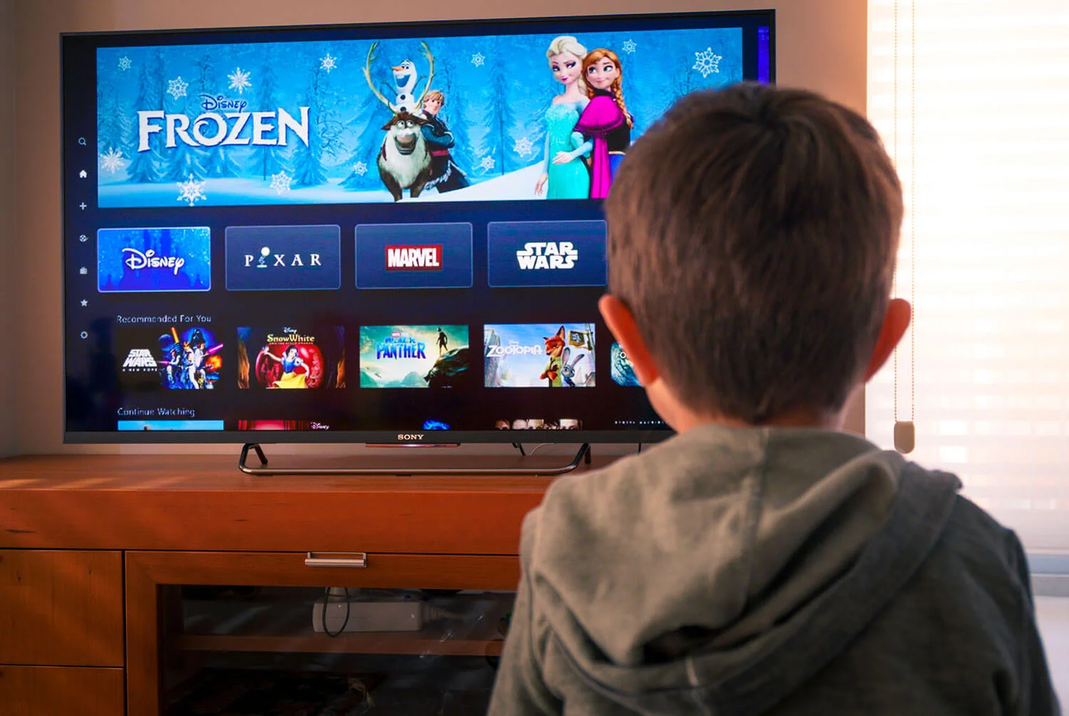 Disney Plus estará disponível nos principais dispositivos de mídia