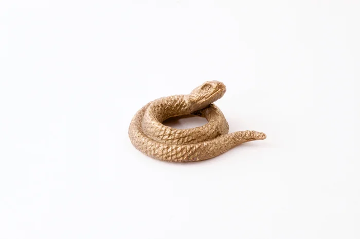 77_thesnake300.jpg