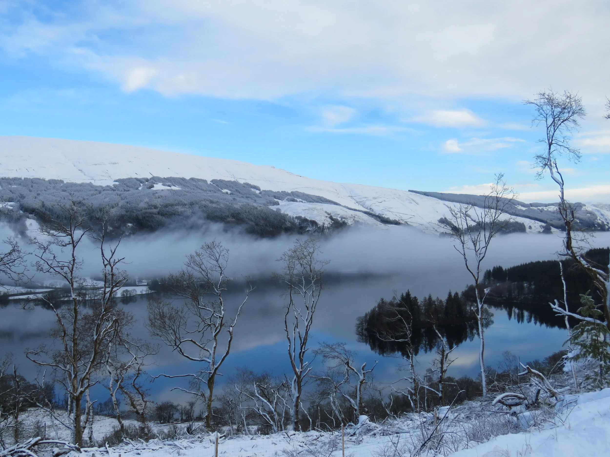 winter blues.JPG