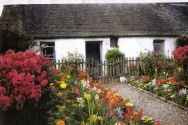 The Post Office