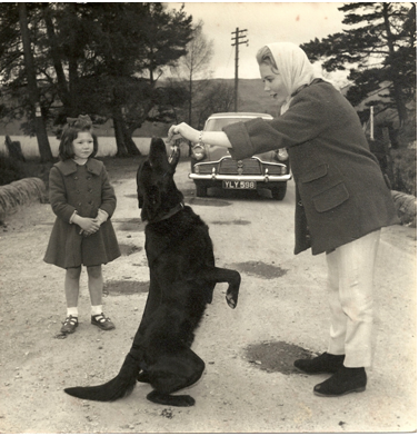 Juliet Mills feeding Rex chocolate watched by Joyce Ross