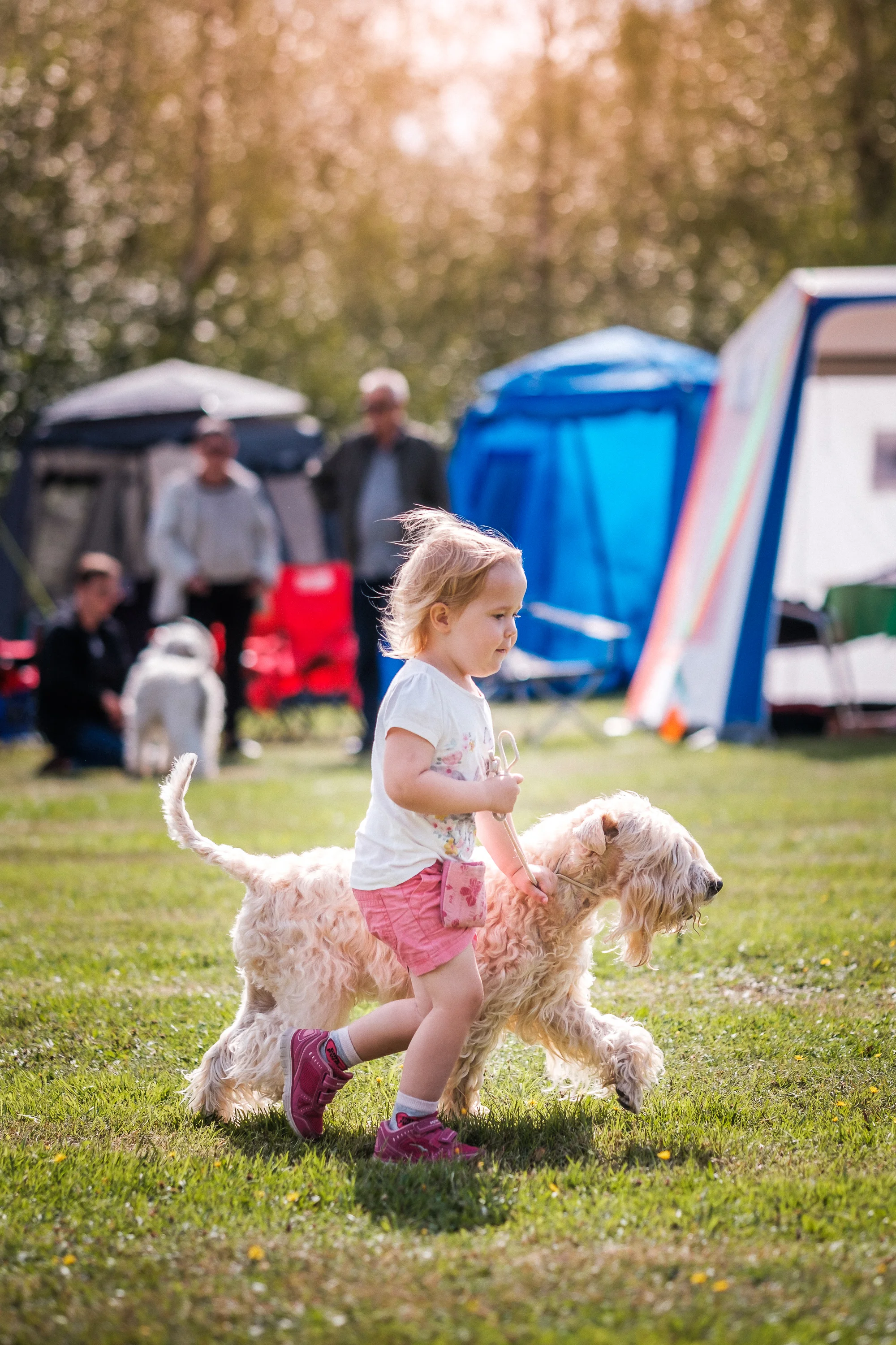 Wheatenfestival 2018