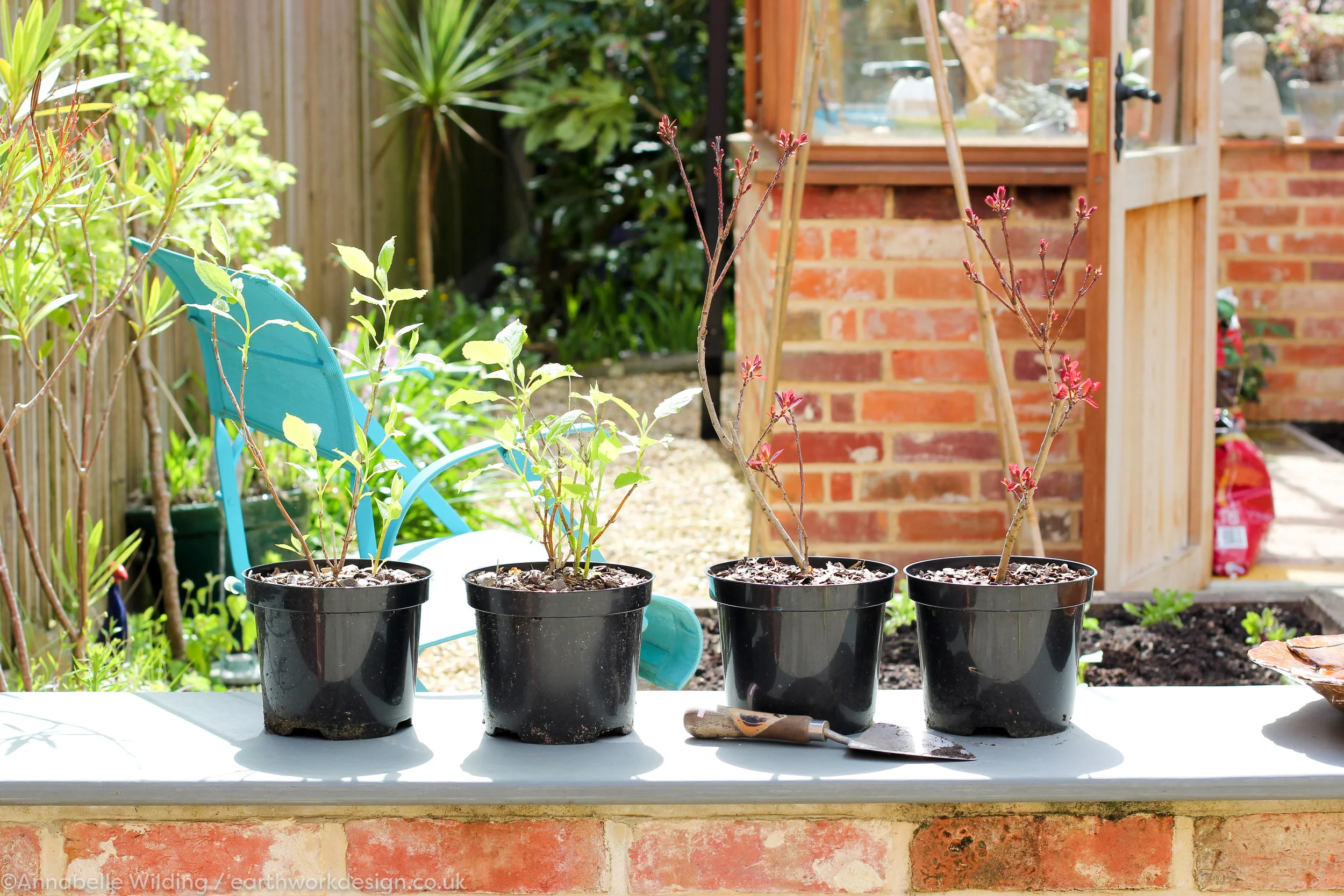 Earthwork Garden Design Hampshire-6.jpg