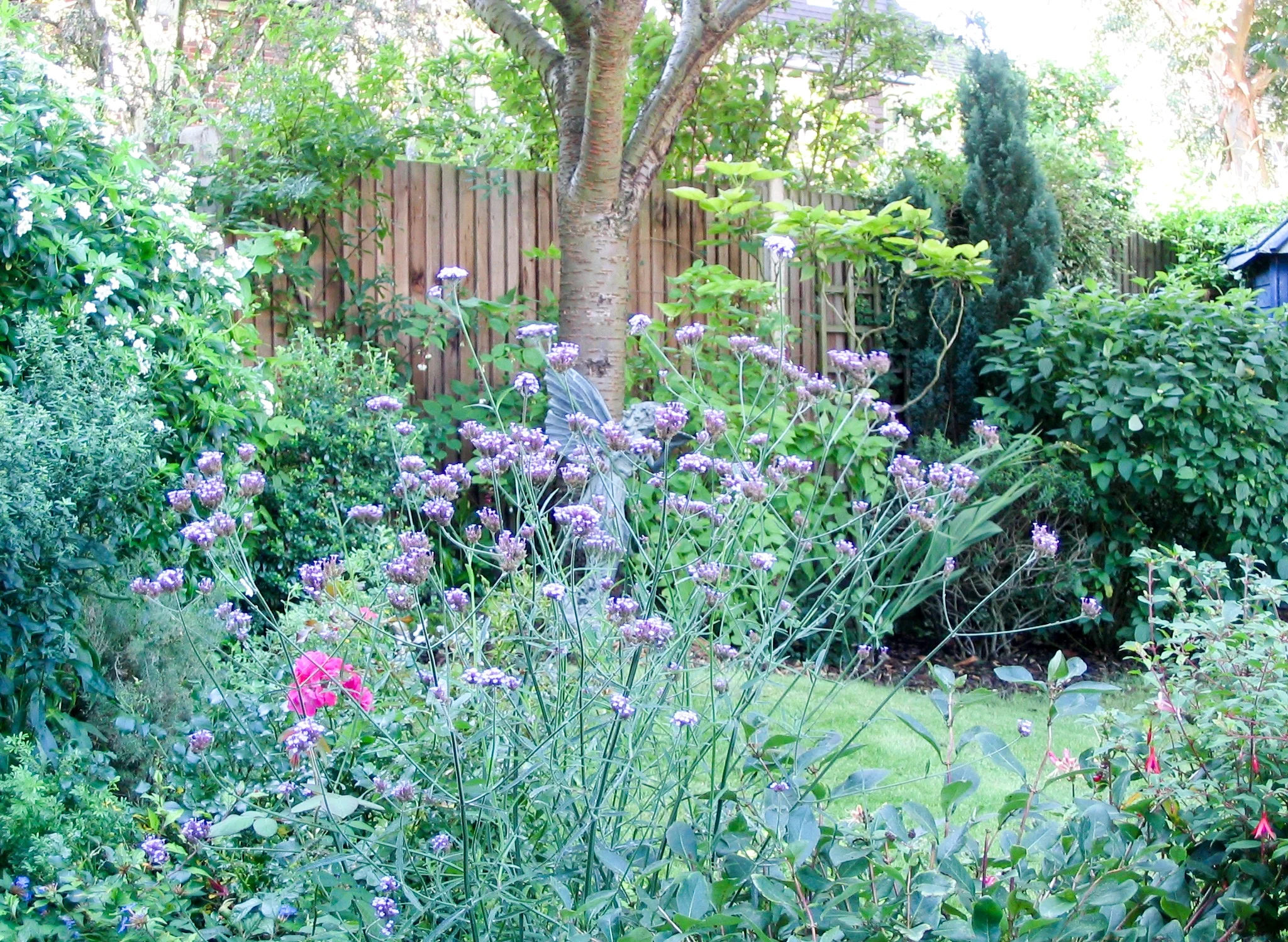walled garden 5.jpg