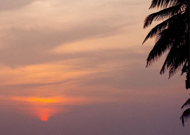 A smokey sunset in paradise. #smokeysunset #sunsetinparadise #palmtrees #srilanka