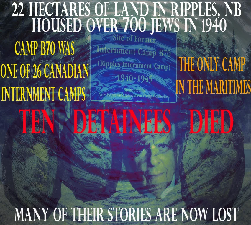 Social Studies Poster Ripples FINAL.jpg