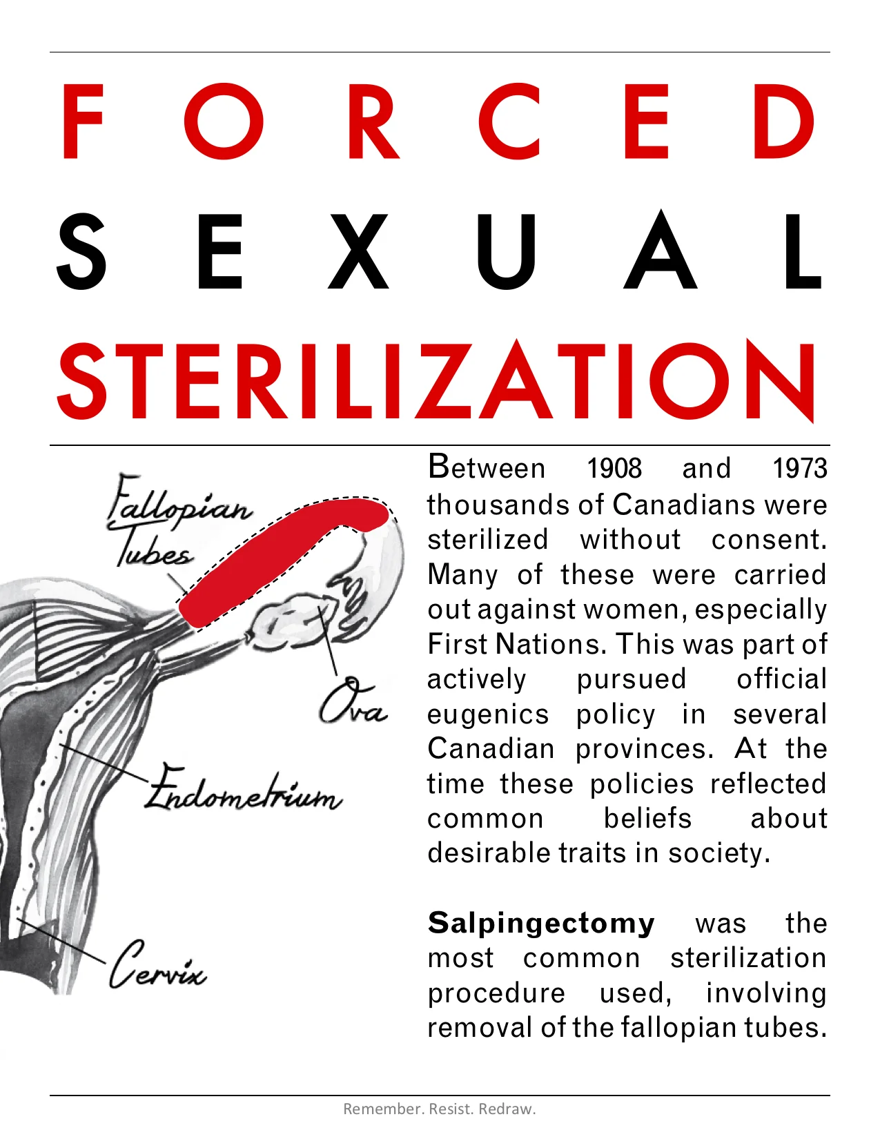 Resit Redraw poster-1.jpg