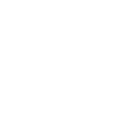 SmallLogoWhite.png