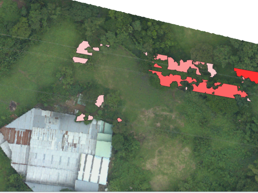 TREES WITHIN 5 METER BUFFER : HEIGHT ABOVE 6 METERS