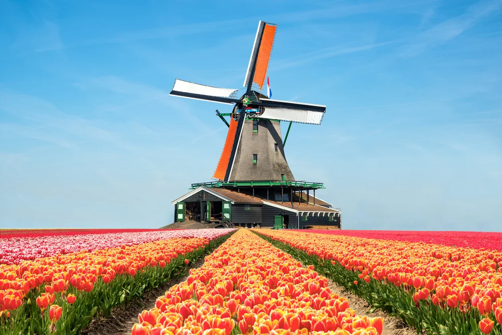 shutterstock_424639792.jpg