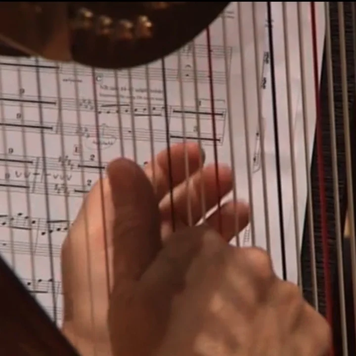 Arhus Symf the partitur through harp.jpg