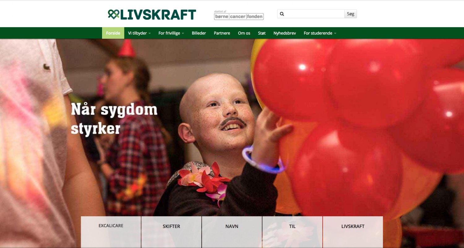 Livskraft is at present the only Danish organisation that makes rehabilitation camps (Cool Camps) for children with various diseases, including children with cancer. The Cool Camps comprise a number of activities designed to support and challenge the children, including music therapy in which the music imagery narratives from the MICO project are used.