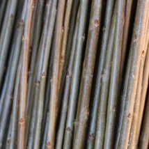 Long Bud Salix Triandra gruppen En god flette-pil som også egner seg godt til levende pileflett, grønn i bunnen og nesten brunaktig oppover hvor den får sol. Long Bud kan kjøpes som: - Stikling - Levende pil