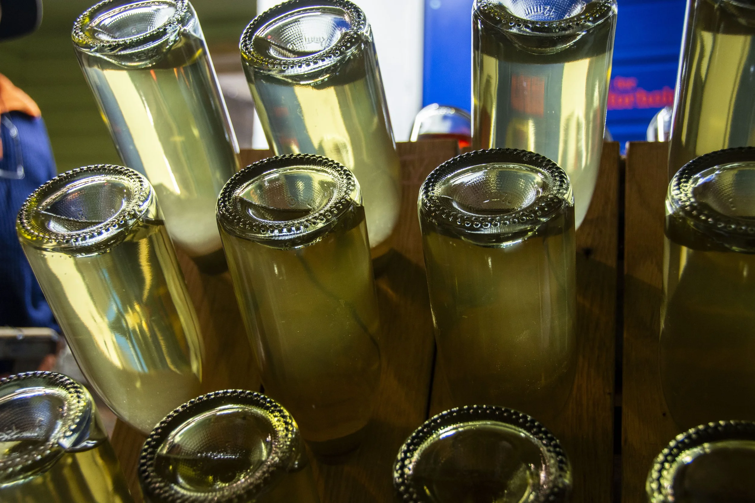 Vin-vinter og vingling