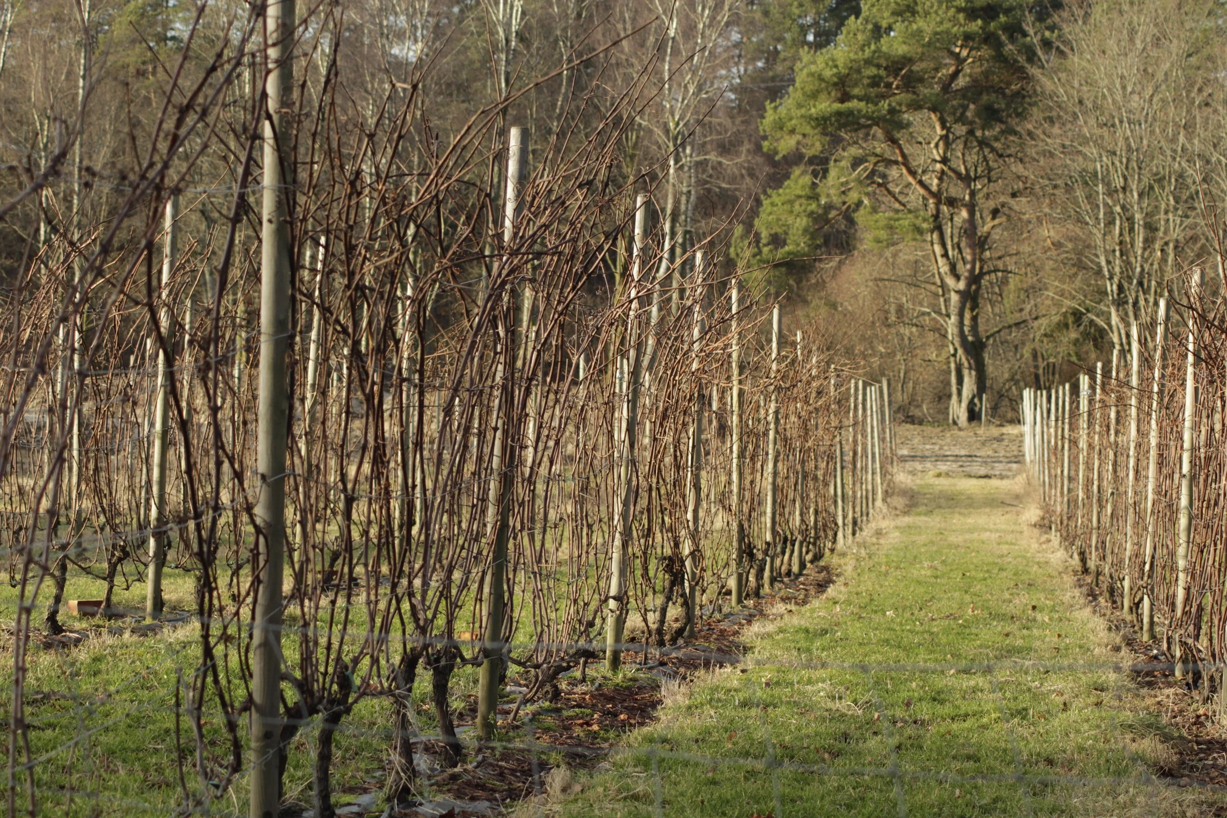 Sesongen over for i år