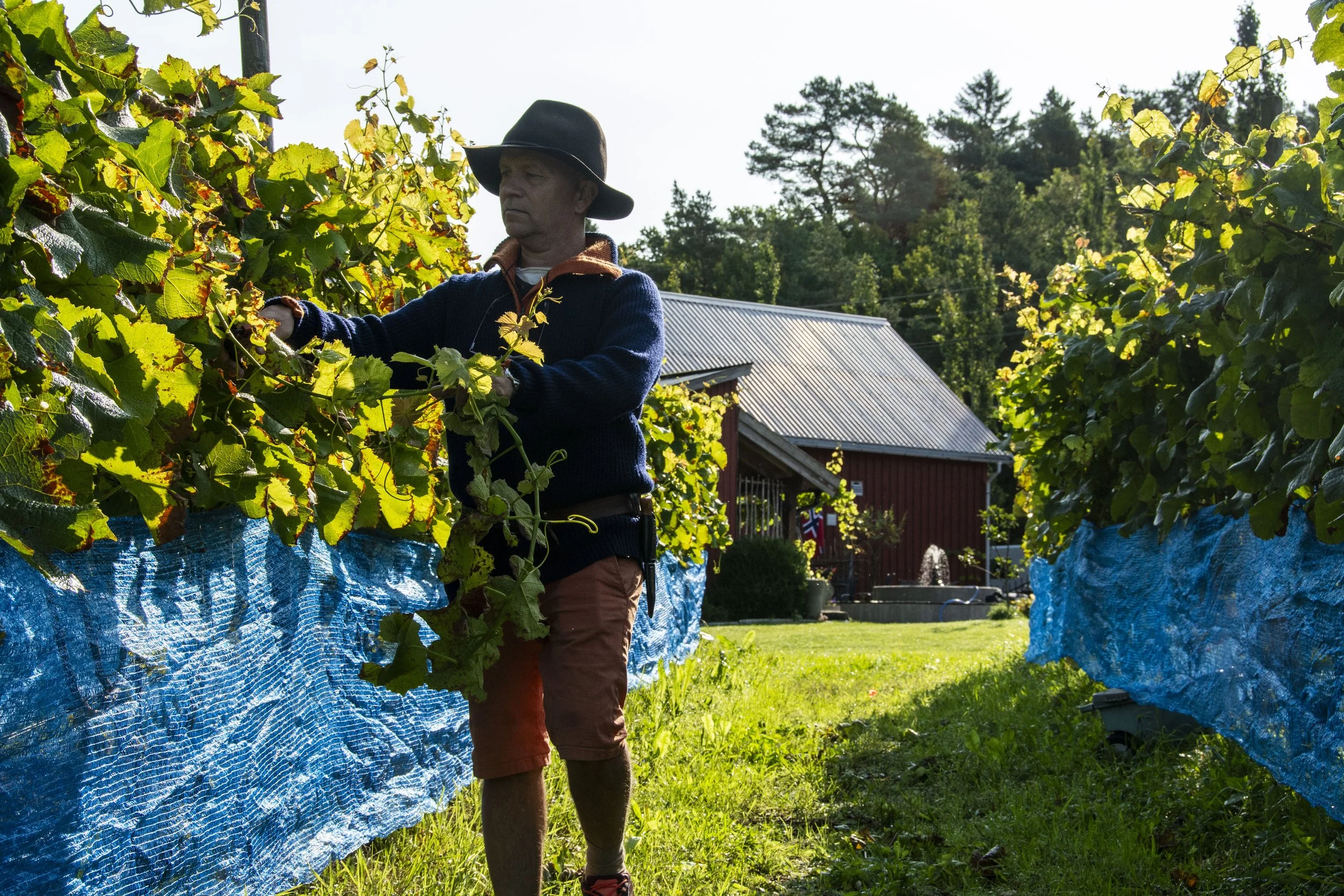 Vinkveld i Stallen med treretters middag