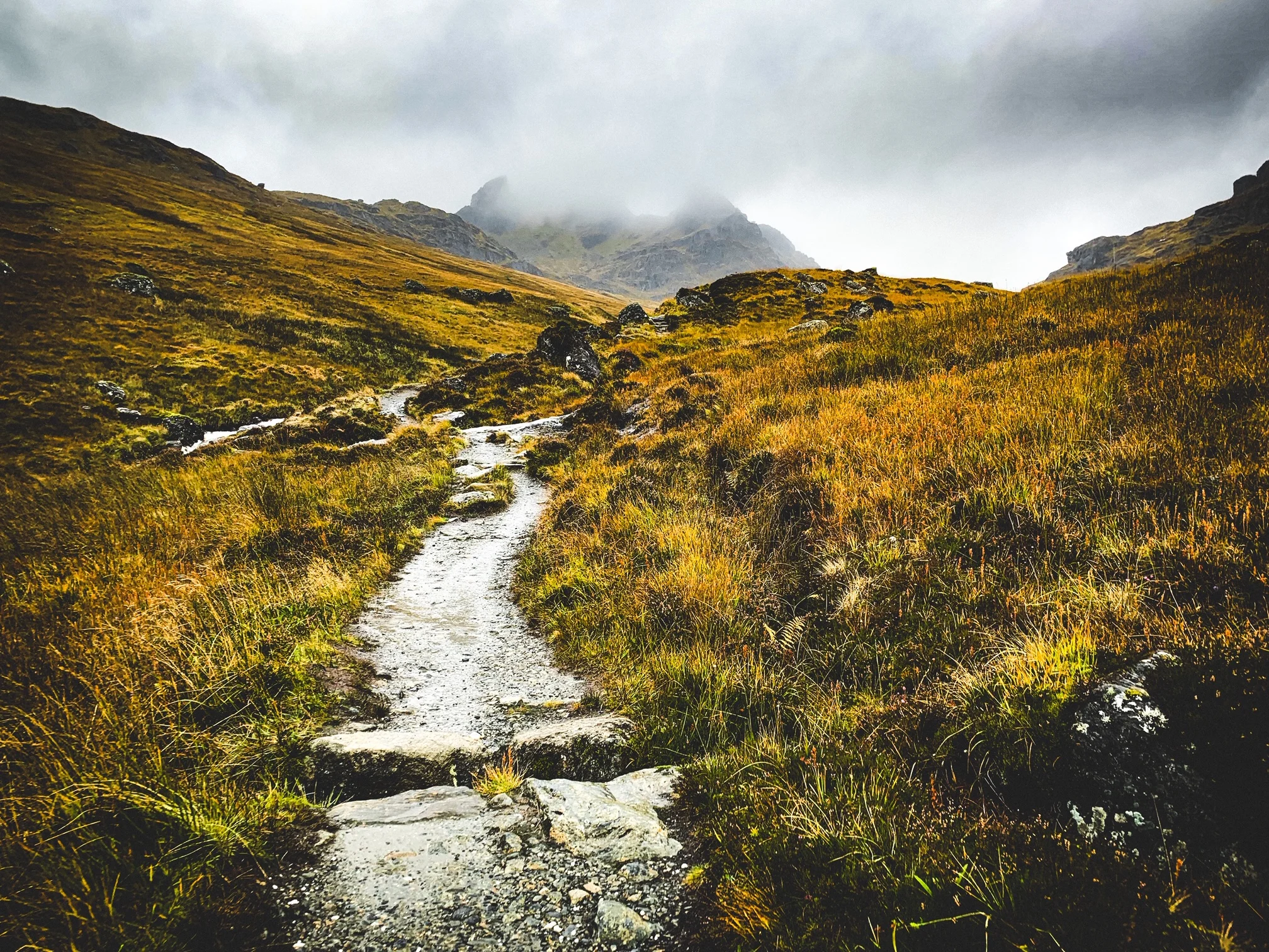 Autumn is a second spring where every leaf is a flower