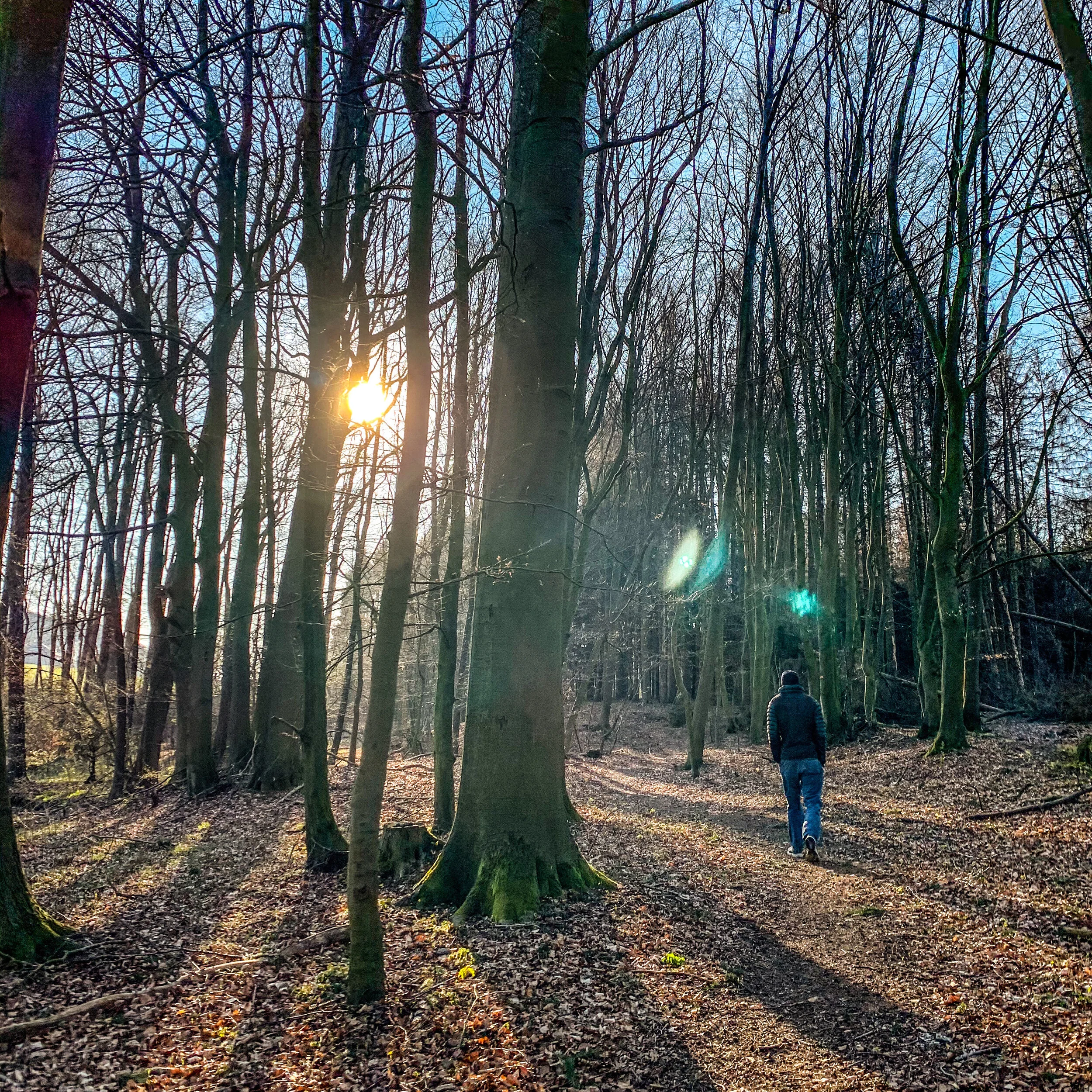 Finding balance and tangibility in a world of chaos