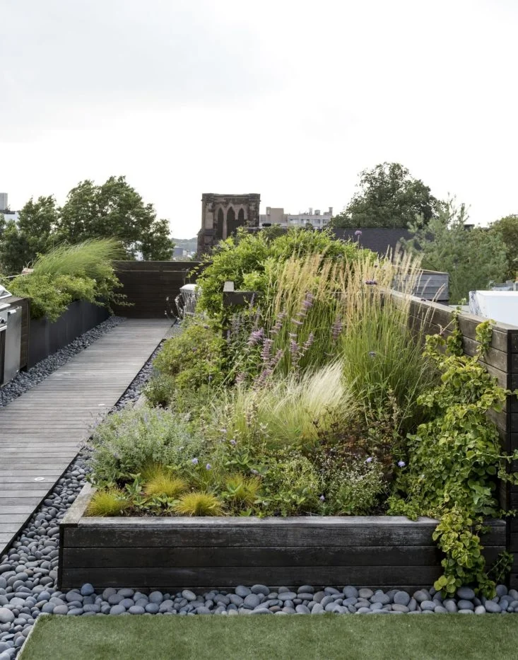 Photo: Matthew Williams for Gardenista