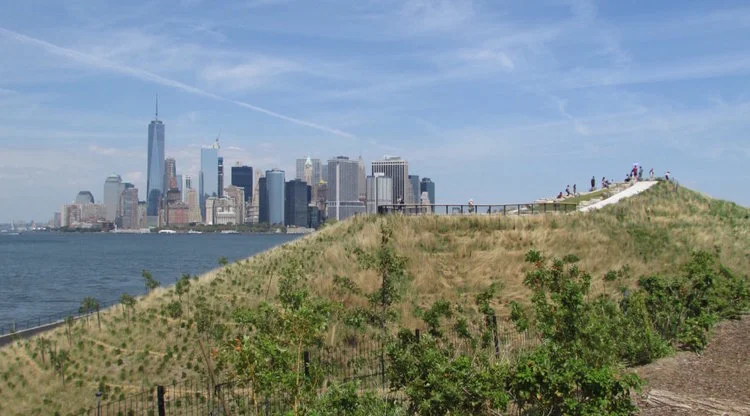 the hills include 2,960 new trees and 42, 963 shrubs