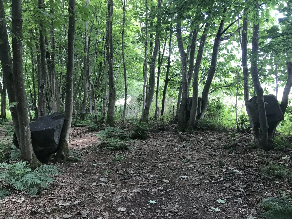 andy+goldsworthy.jpg