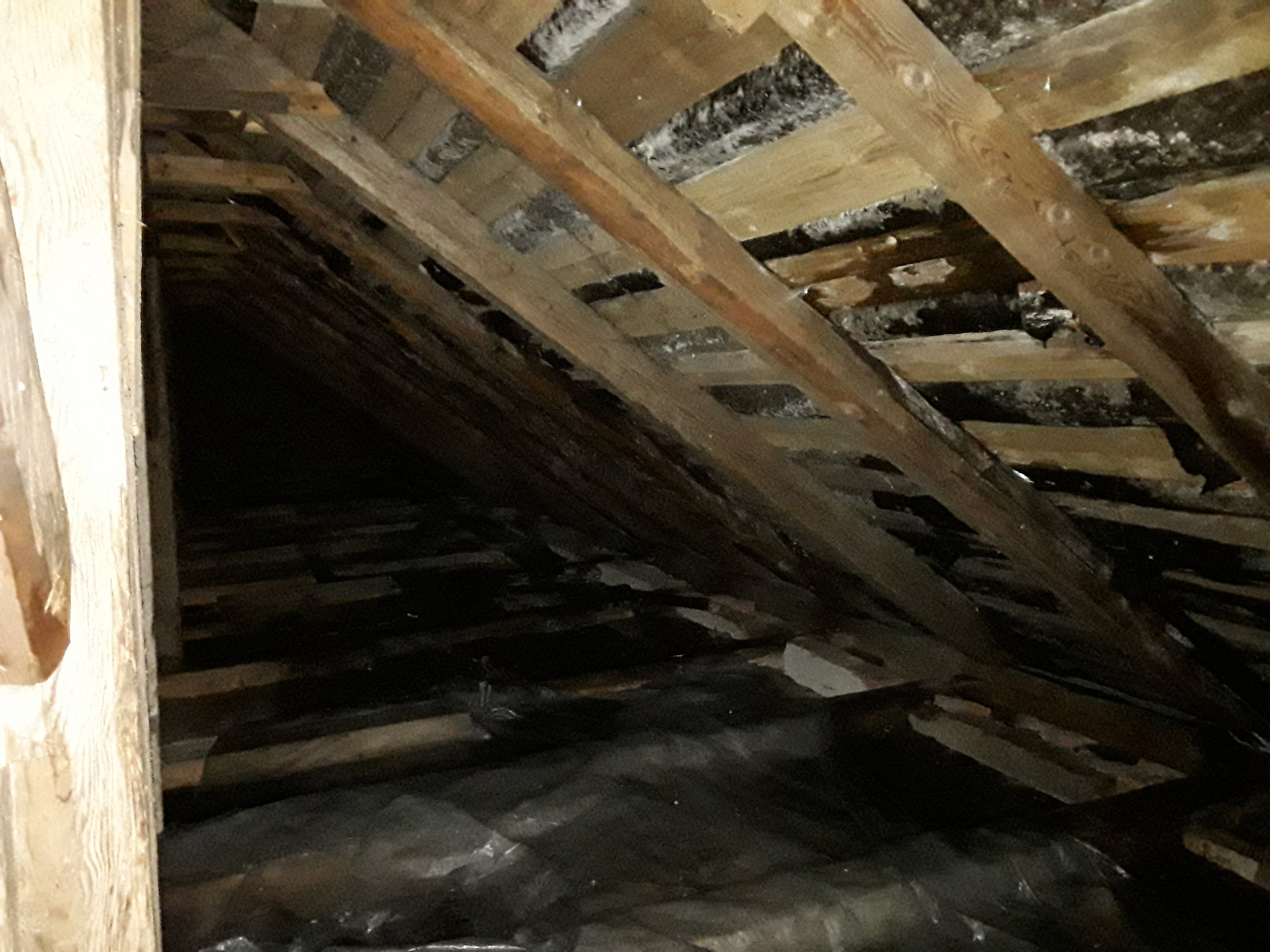 under roof2.jpg