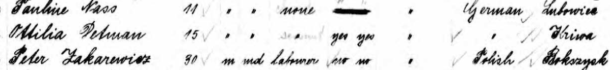 Tillie on a 1905 ship manifest. Her last residence is listed as "Kriwa" which is today Kreivukė, Lithuania--a small village outside of Kalvarija. Year: 1904; Arrival: New York, New York; Microfilm Serial: T715, 1897-1957; Microfilm Roll: Roll 0424; Line: 1; Page Number: 18