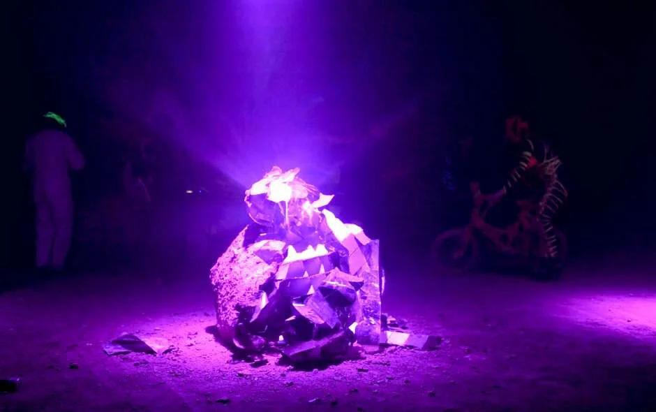 dancing fossil2.jpeg