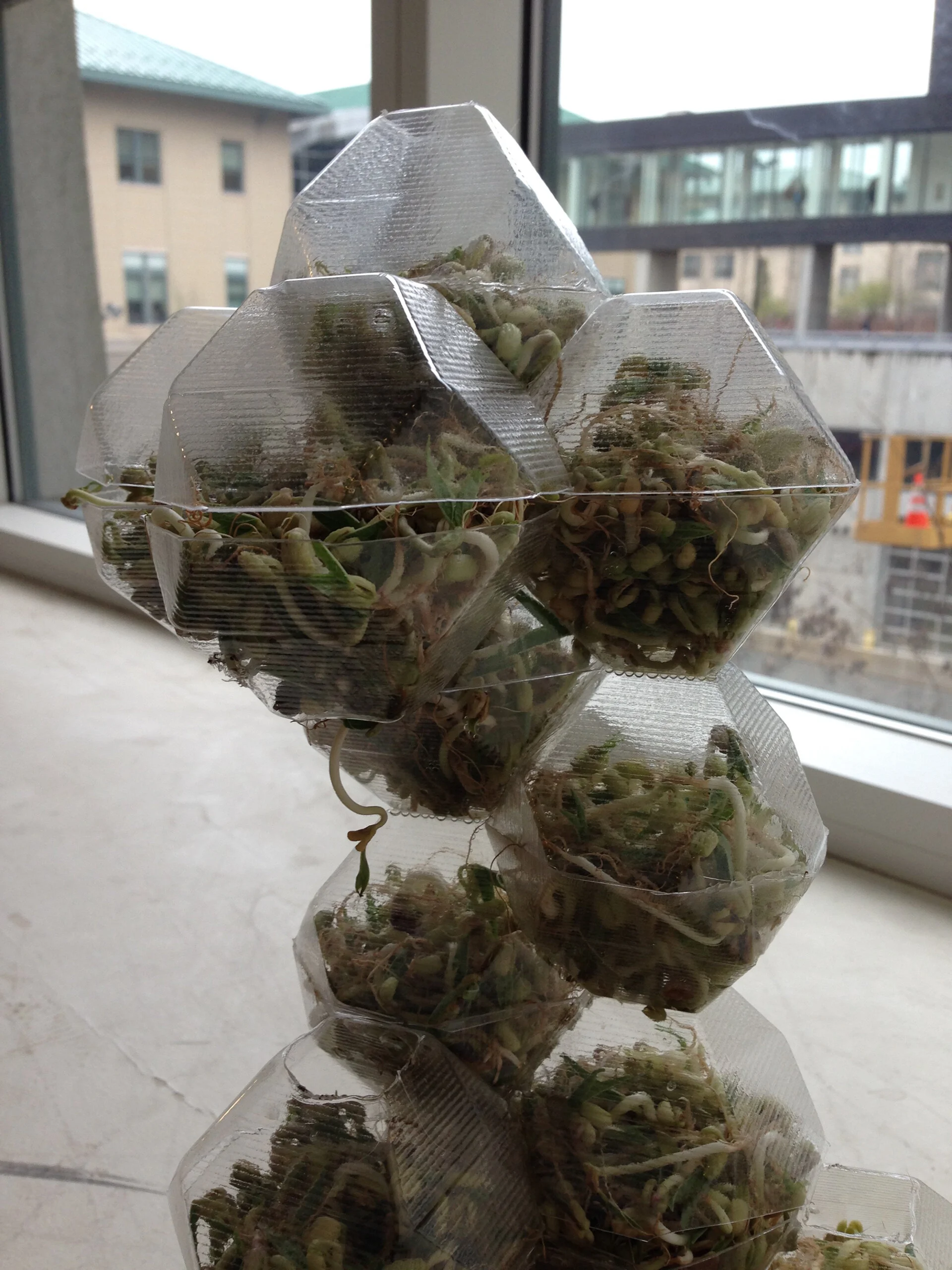 polyhedral planter.jpg