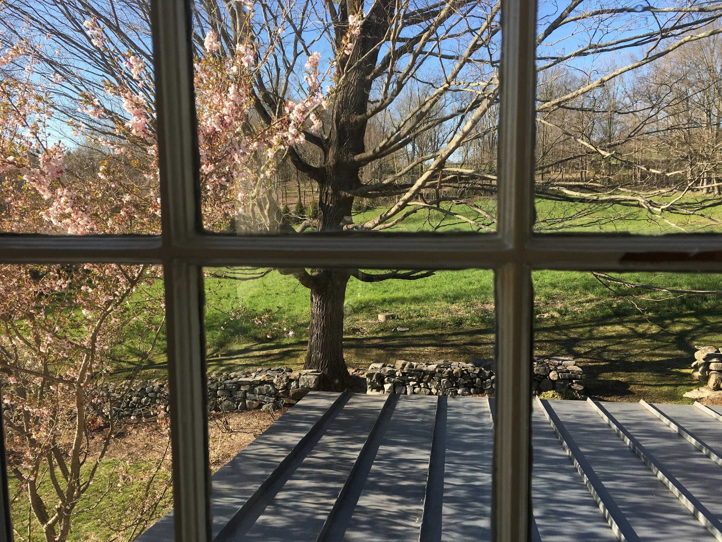 NF Washington CT.JPG