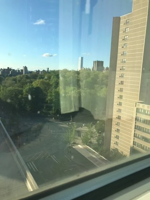 Central Park Ali N.JPEG