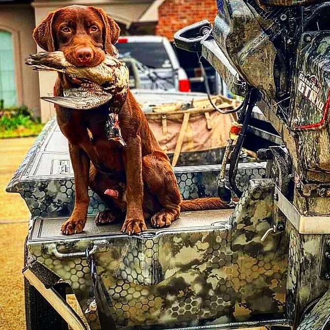 First retrieve for Kaine!