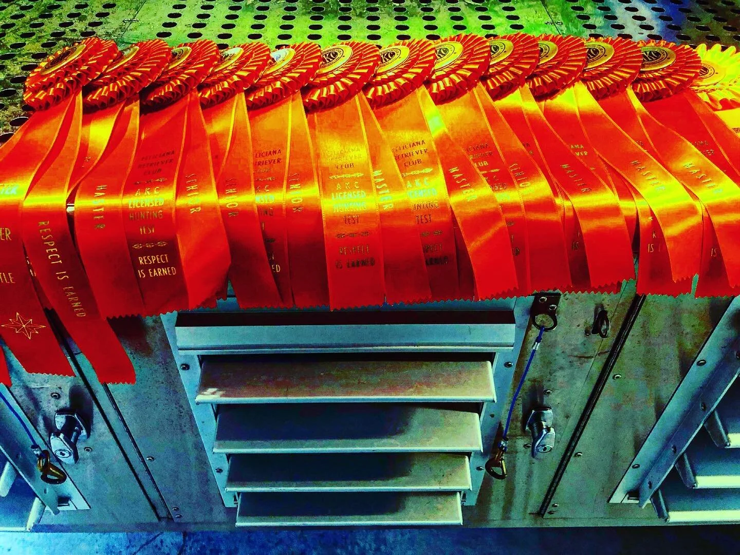 Kicked off hunt test season with seven Master passes and five Senior passes! Congrats to the owners, and thanks to the club and workers for making this possible!