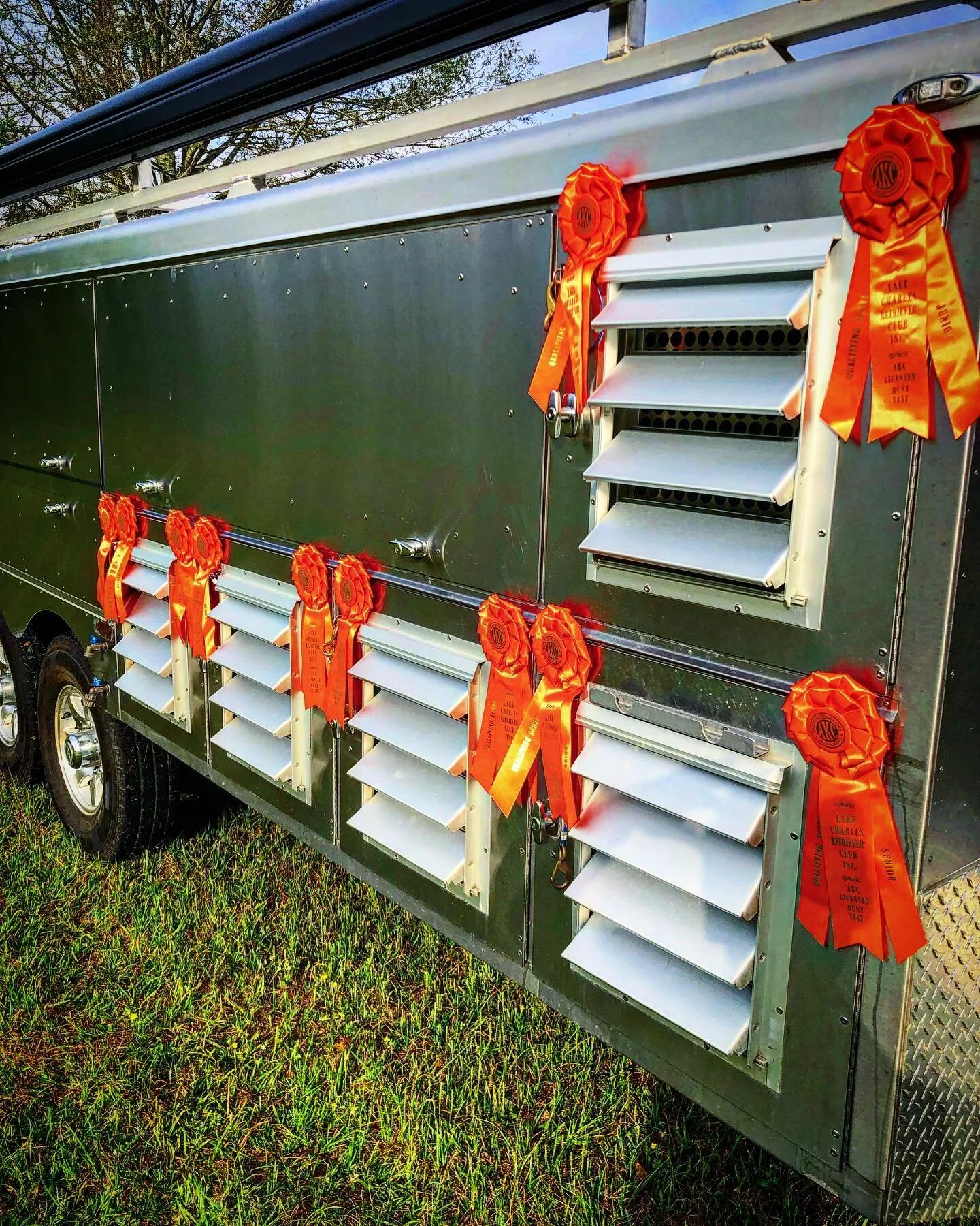 The young dogs had a good showing this weekend at the Lake Charles Retriever Club test. Thanks to the club, judges, and workers!