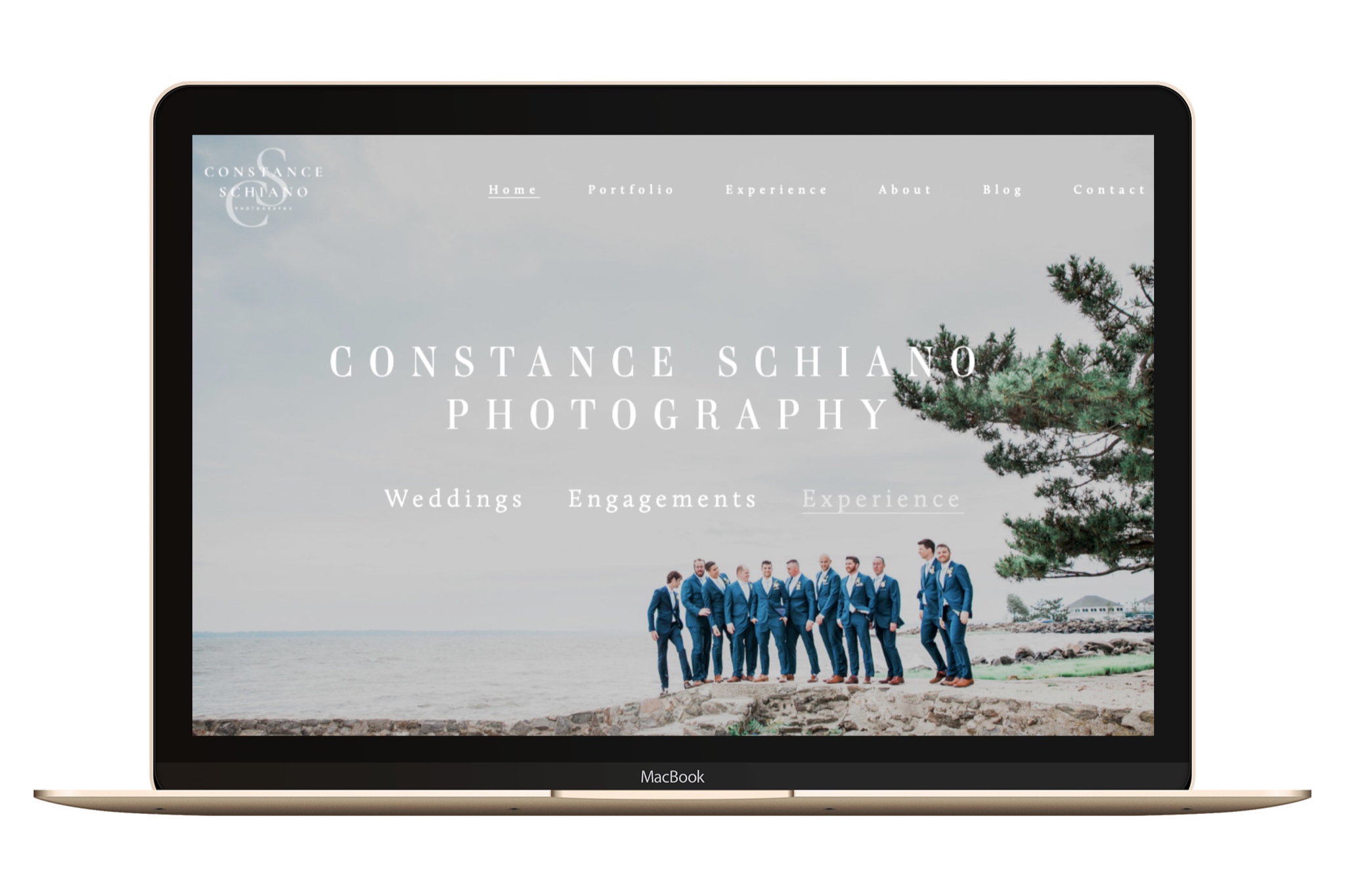 constance+schiano+squarespace+website+designer+Freya+Rose+Tanner.jpg