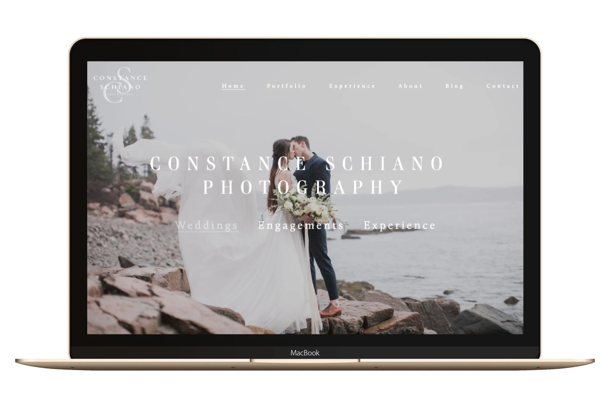 54_macbookgold_front_Easy-Resize.com.jpg