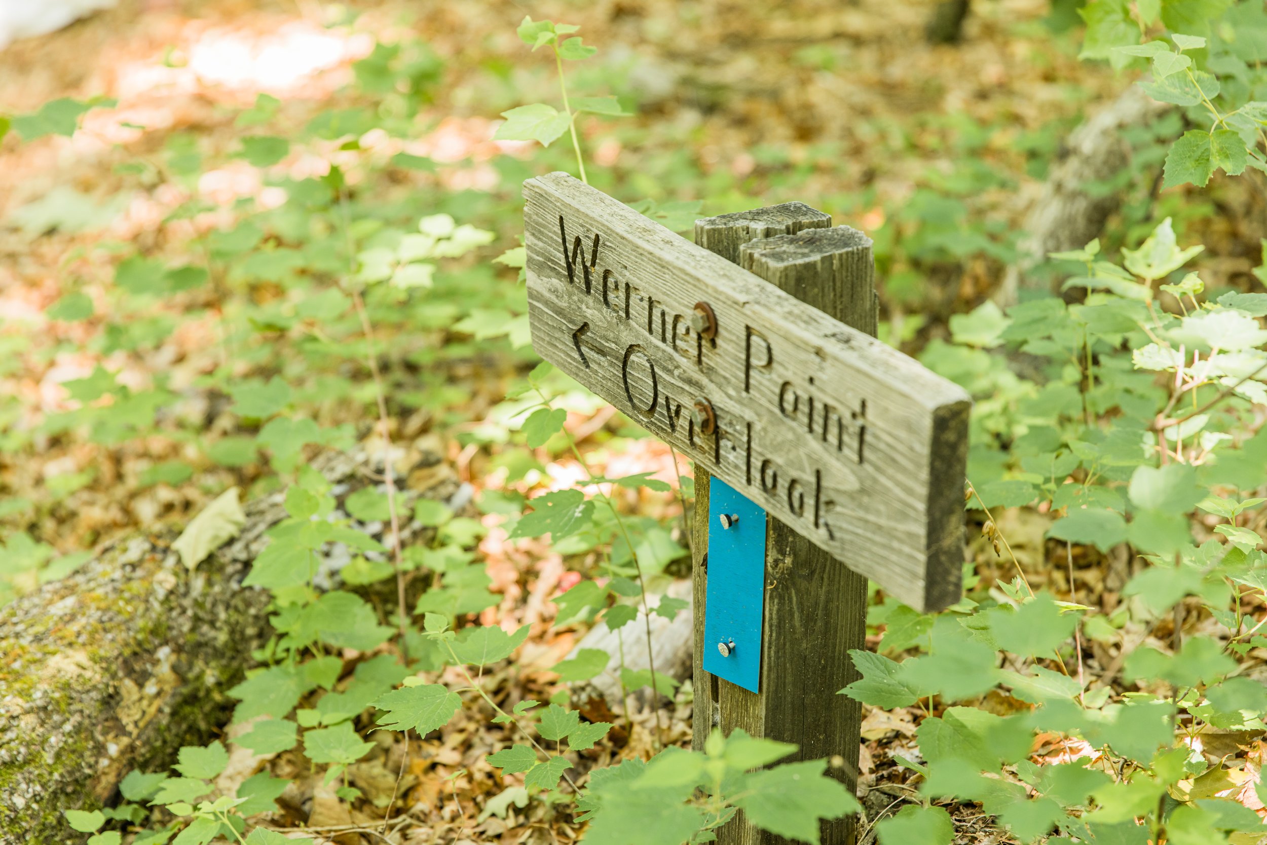 Elopement_Sewanee_TN_Emily_Lester_Photography-298.jpg