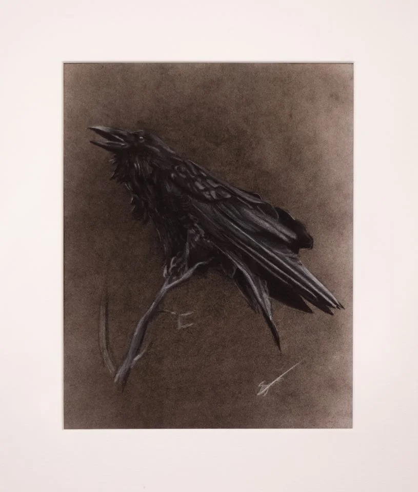 raven.jpg