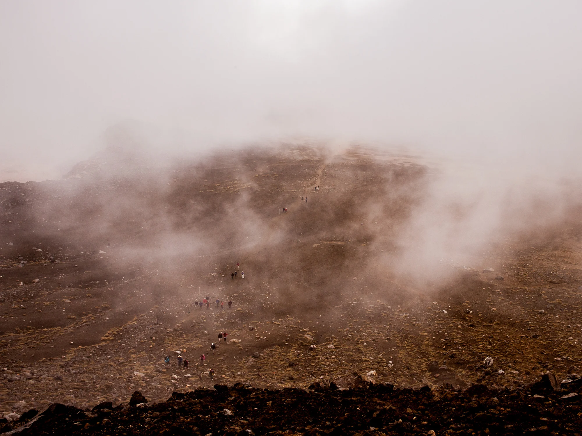NZ-2014-138.jpg