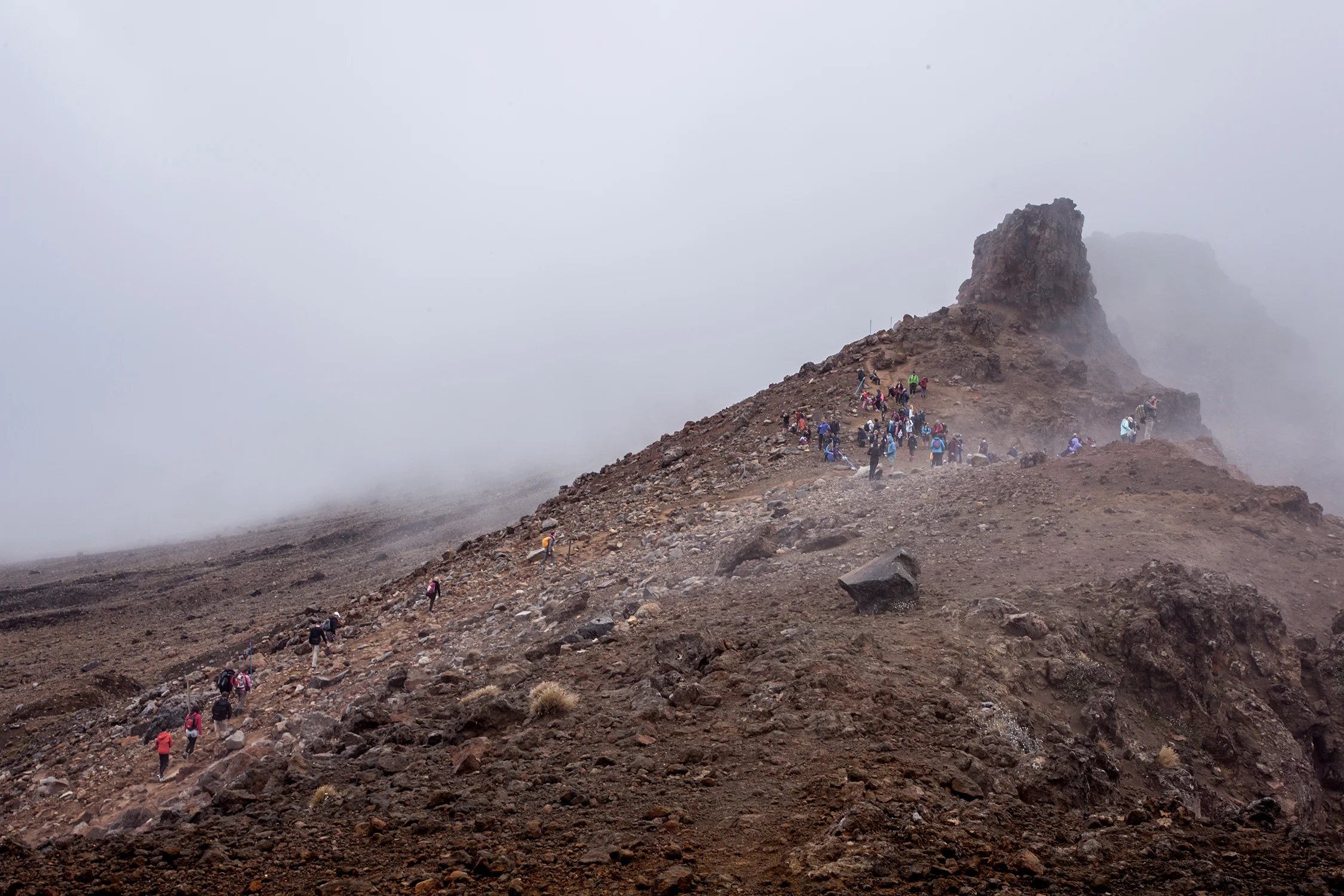 NZ-2014-141.jpg