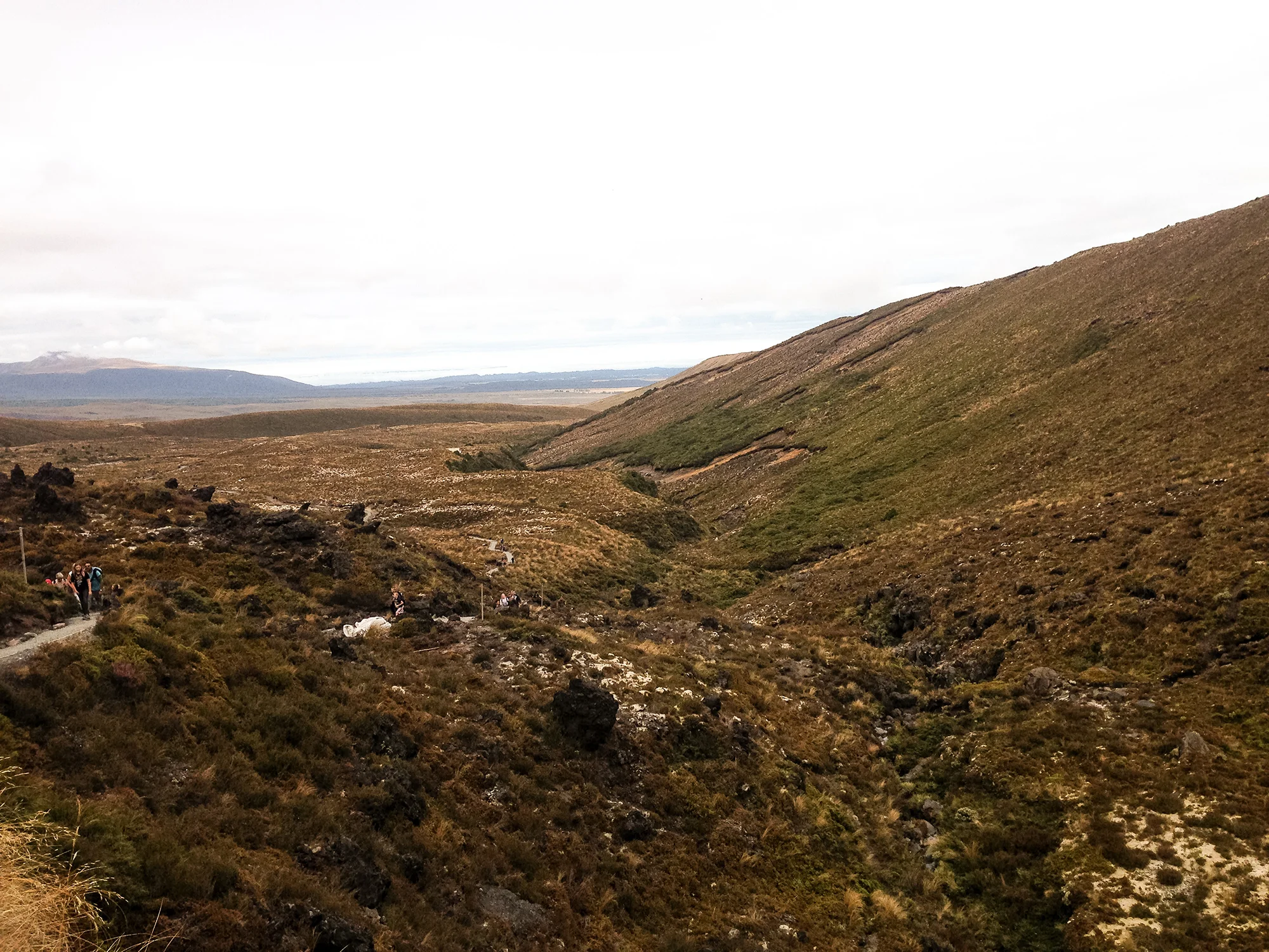 NZ-2014-121.jpg