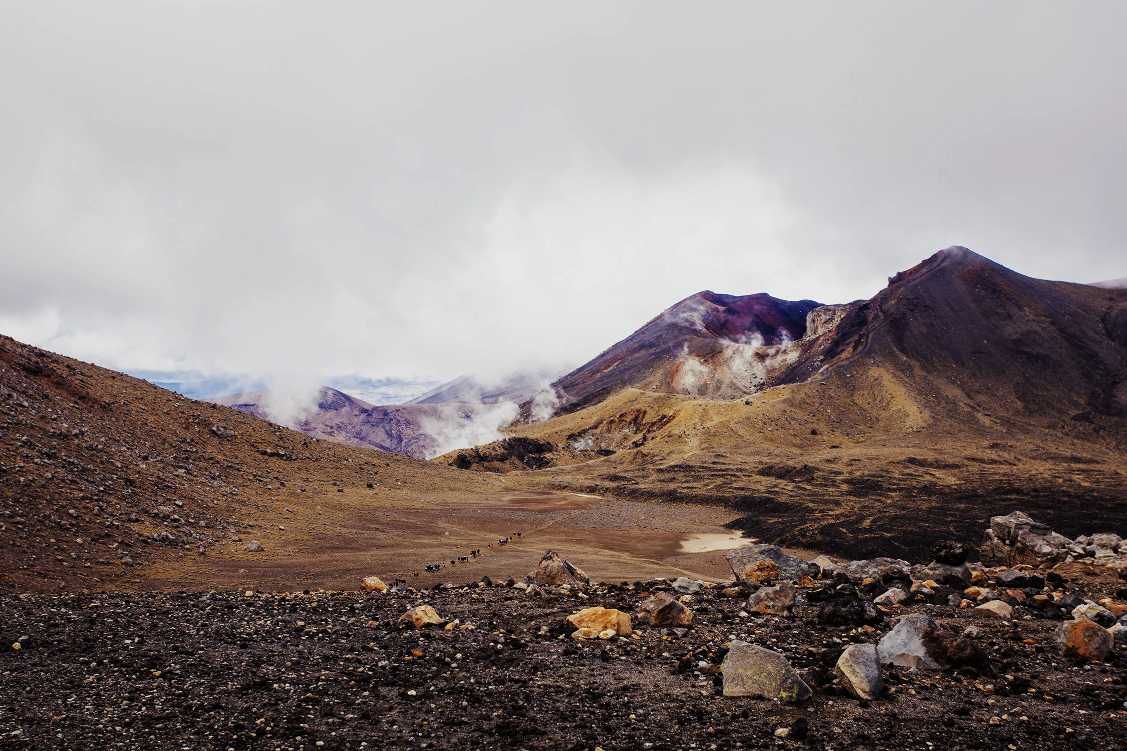 NZ-2014-163.jpg