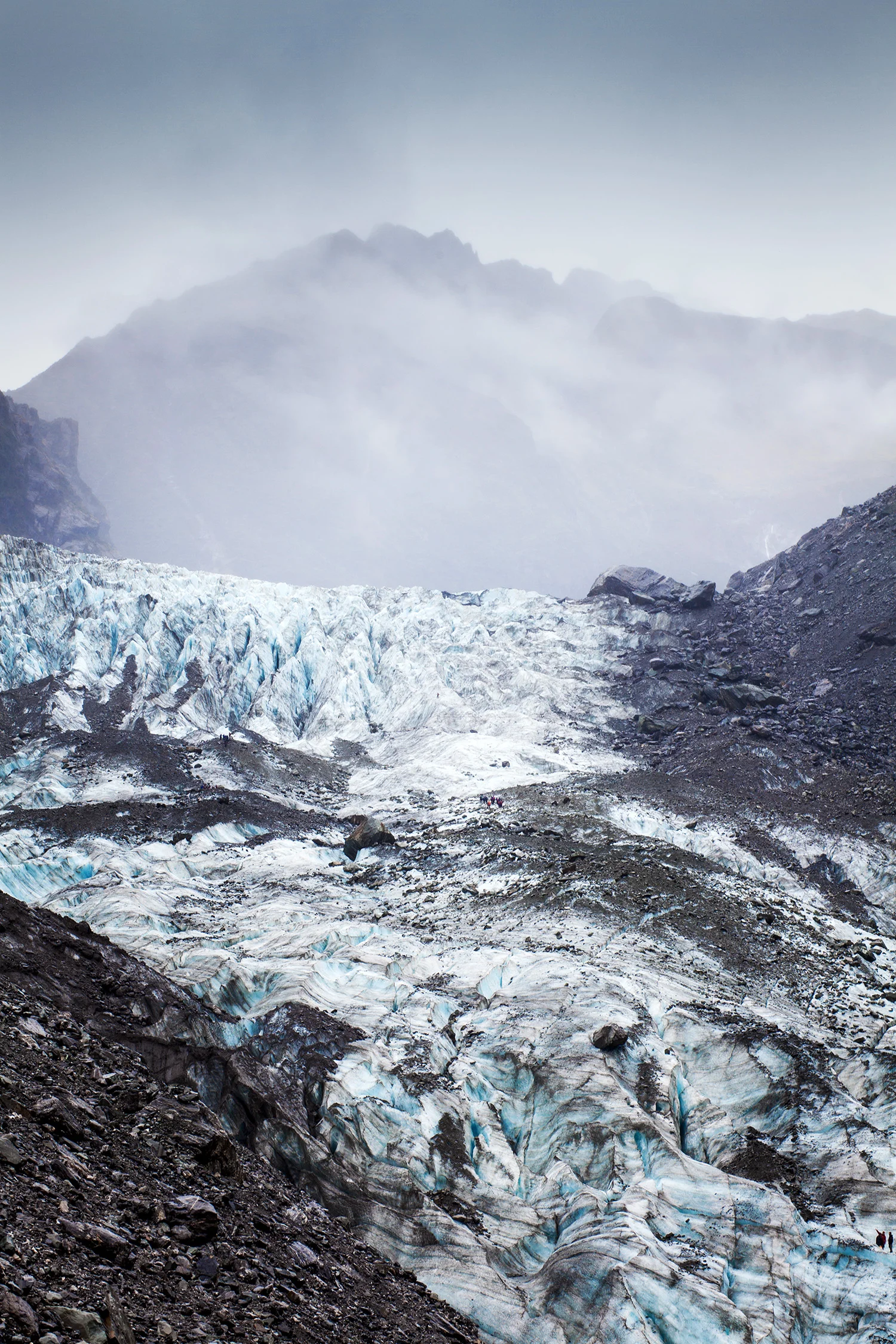 NZ-2014-284.jpg