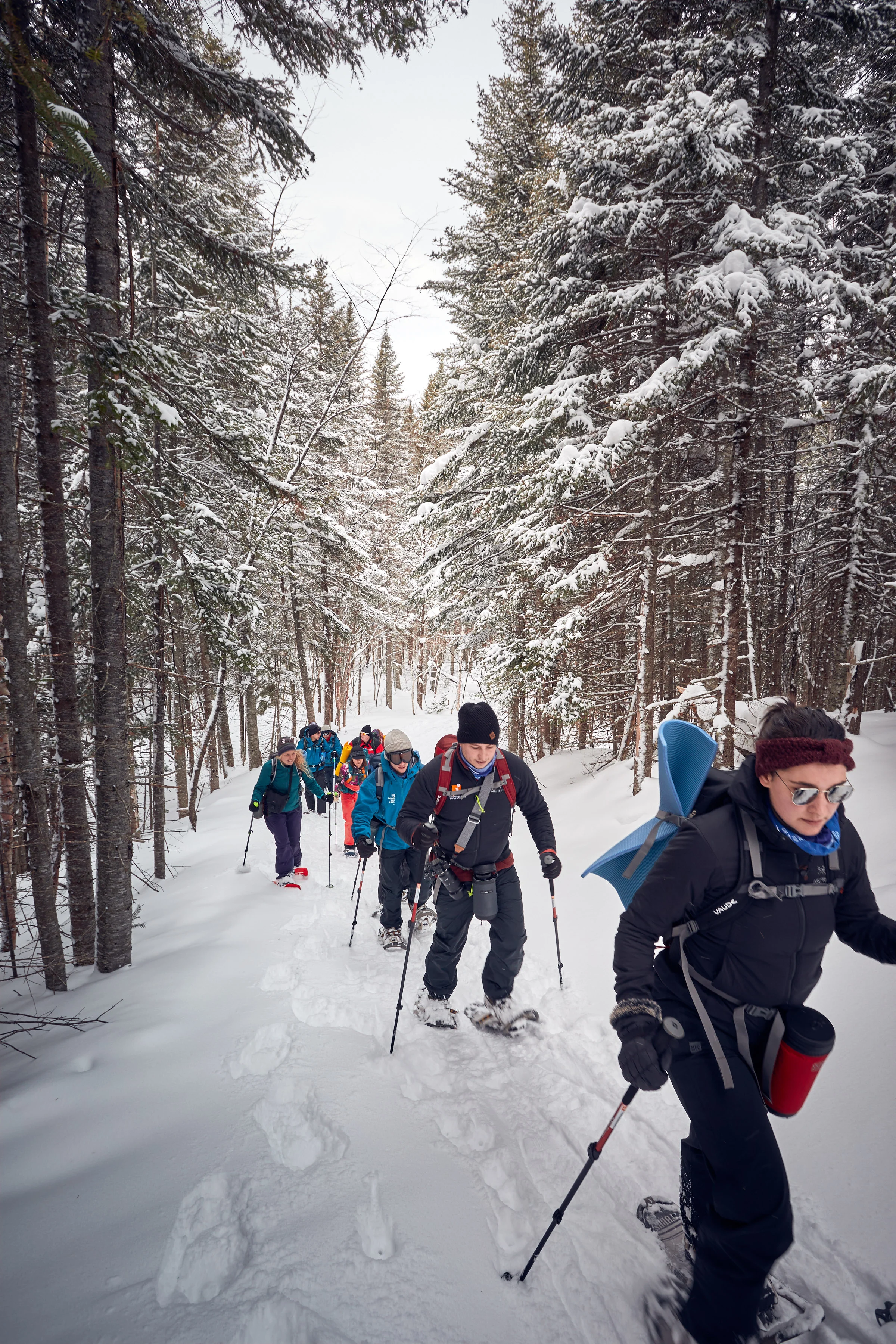 Expe_Gaspesie_2019_jour3_013.jpg